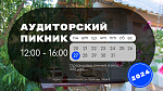 Аудиторский пикник